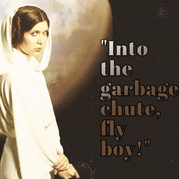 Princess Leia Quote 01